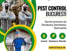 PestControl Bucuresti